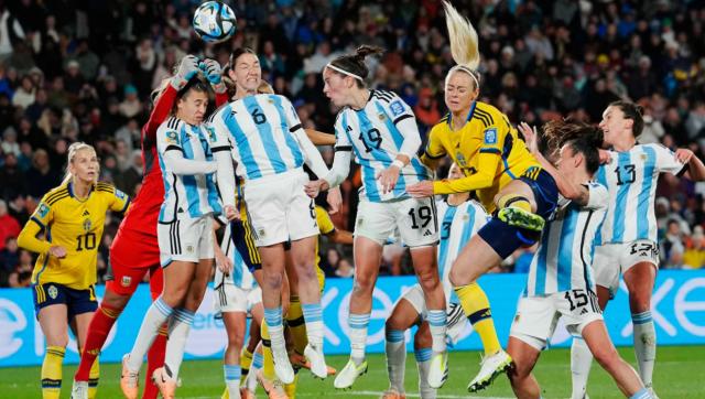 1691763031557018078.png image.png